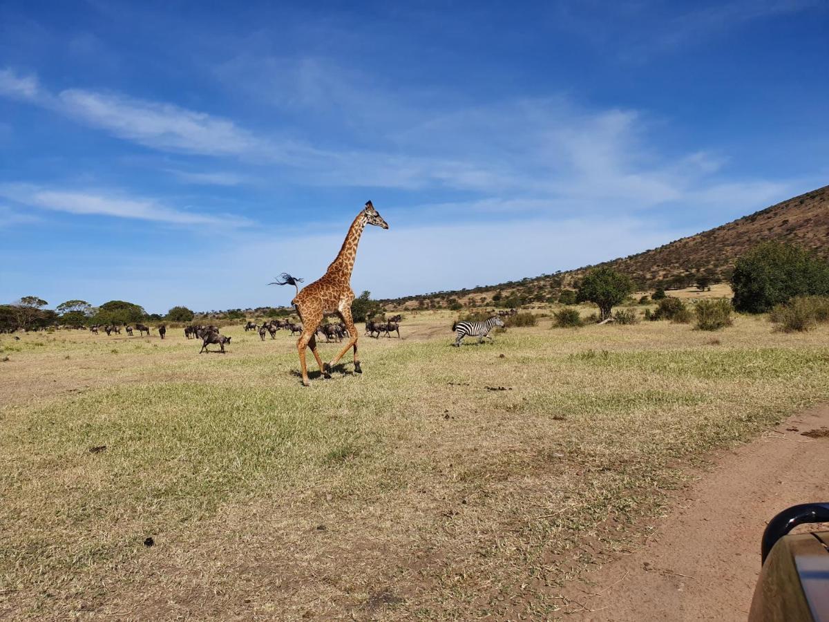 Africa Safari Lake Natron Mtowabaga Esterno foto