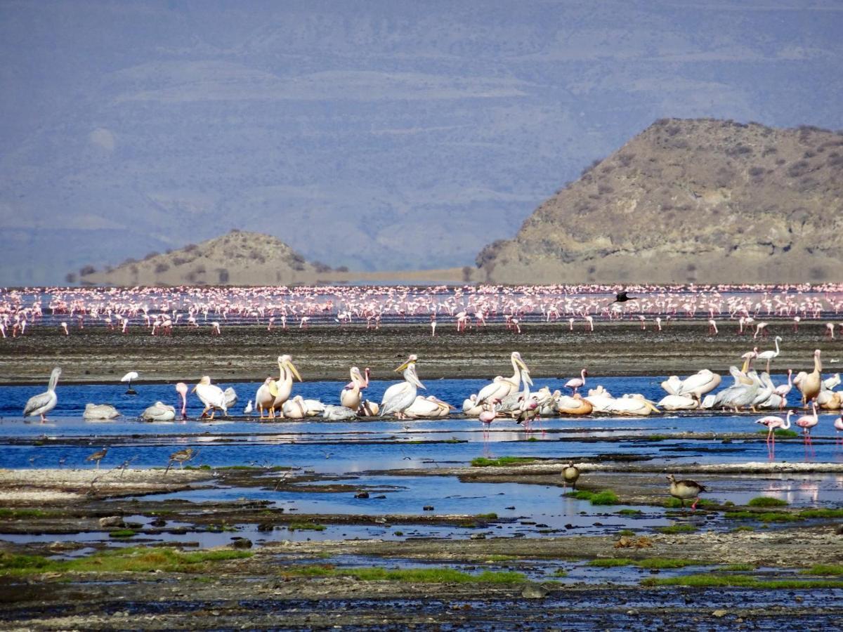 Africa Safari Lake Natron Mtowabaga Esterno foto